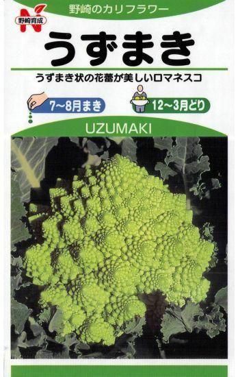 ロマネスコの種【うずまき】〔固定種〕 - 種の専門店 松尾農園