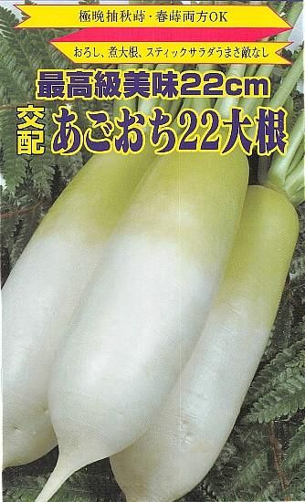 お歳暮 おろしやだいこん様専用 栽培の過程で生まれる【切】を活用し