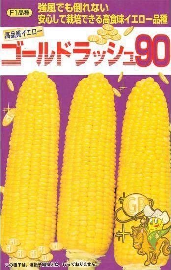 トウモロコシの種【ゴールドラッシュ90】〔F1〕 - 種の専門店