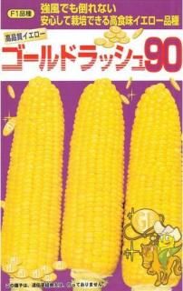 ȥμڥɥå90ۡF1