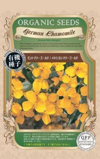 ハーブ・エディブルフラワー｝ミントマリーゴールド／メキシカンマリー