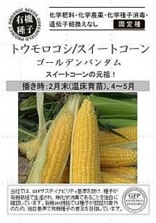 種 トウモロコシ 種の専門店 松尾農園 オンラインショップ 種 トウモロコシ 種の専門店 松尾農園 オンラインショップ