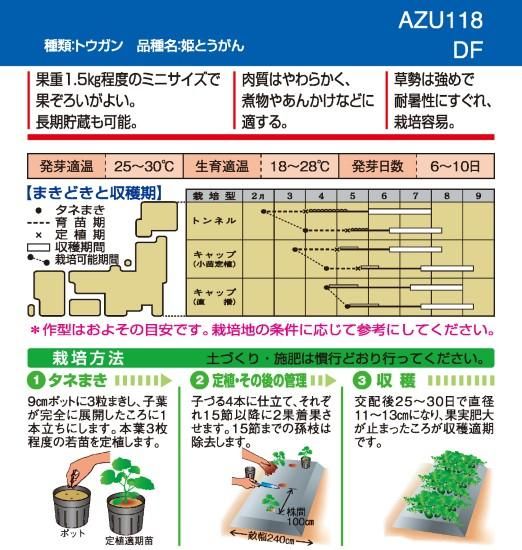 トウガンの種【姫とうがん】〔固定種〕 - 種の専門店 松尾農園