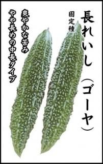 μĹ줤̸ۡ ̵ 