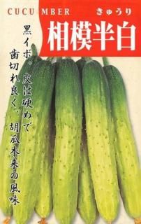 奦μȾ̸ۡ ̵
