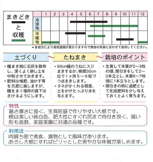 ダイコンの種 時なし大根 早太り花知らず時なし 固定種 種の専門店 松尾農園 オンラインショップ