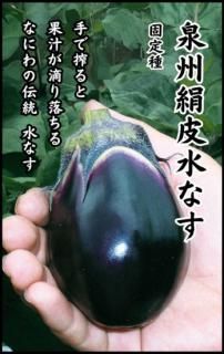 ʥμʤ̸ۡ ̵