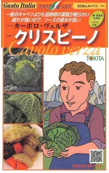 サボイキャベツの種【クリスピーノ】〔F1〕 - 種の専門店 松尾農園