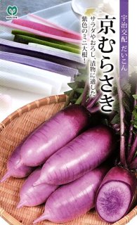 紫ダイコンの種【京むらさき】〔F1〕