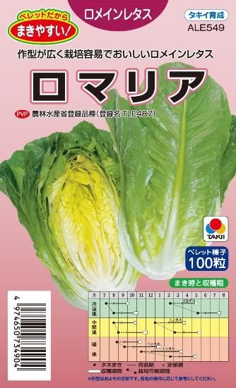 ロメインレタスの種【ロマリア】〔固定種〕 - 種の専門店 松尾農園