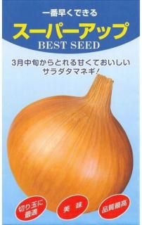 ޥͥμڥѡåס̸ۡ ̵ 