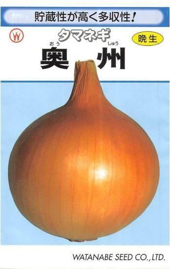 タマネギの種【奥州】〔固定種〕 - 種の専門店 松尾農園 オンライン