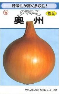 ޥͥμڱ̸ۡ ̵ 