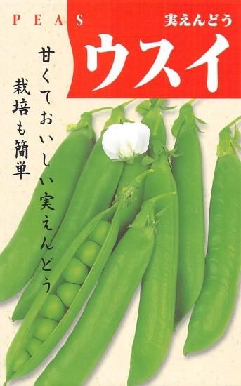 ✔️ダイソーうすいえんどうを育てる｜そだレポ（栽培レポート