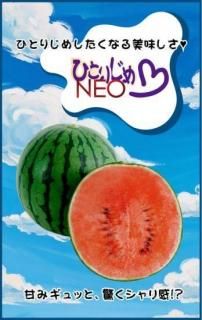 ̥μڤҤȤꤸNEOۡF1 