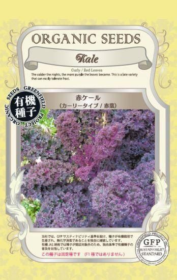カーリー・ケールの種【ケール（カーリータイプ・赤葉）】〔固定種