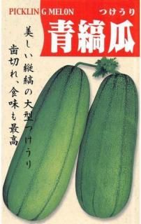 ĥμʱ̸ۡ ̵ 