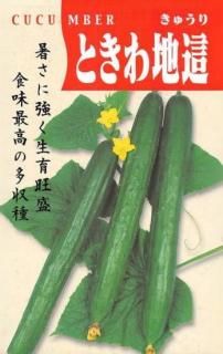 奦μڤȤ̸ۡ ̵