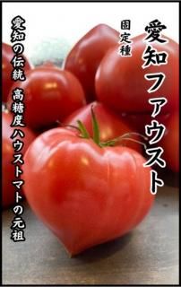 ȥޥȤμڰΥեȥȥޥȡʽϡˡ̸ۡ ̵ 