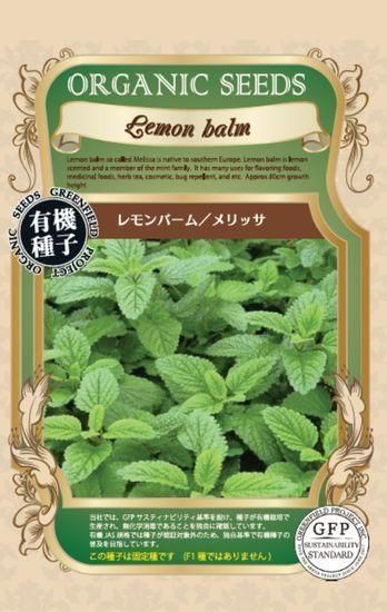 ハーブ}レモンバームの種〔固定種・有機種子〕 - 種の専門店 松尾農園 ハーブ}レモンバームの種〔固定種・有機種子〕 - 種の専門店 松尾農園
