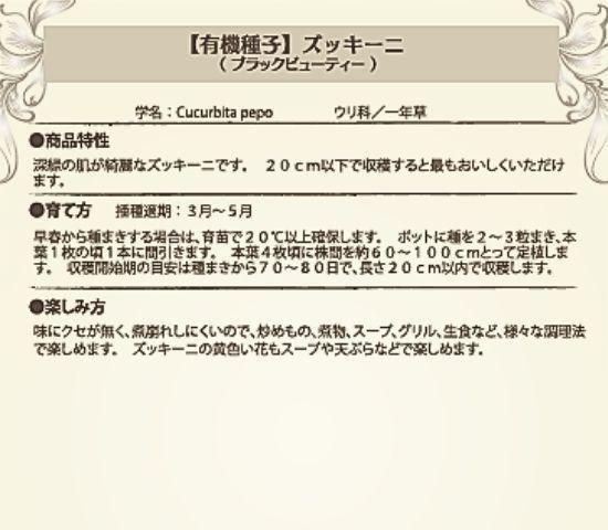 ズッキーニの種【ブラックビューティー】〔固定種・有機種子〕 - 種の