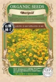 <img class='new_mark_img1' src='https://img.shop-pro.jp/img/new/icons65.gif' style='border:none;display:inline;margin:0px;padding:0px;width:auto;' />ޥ꡼ɡͥåȥޥ꡼ɤμ ̸ͭҡ ̵