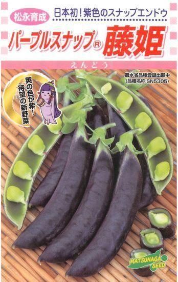 豆の種緑色・紫点 確認中