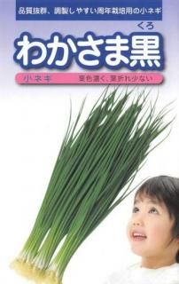 ͥμڤ狼޹̸ۡ