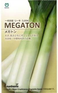 Υͥʥ꡼ˤμڥᥬȥۡF1 ̵