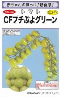 ߥ˥ȥޥȤμCFץפ襰꡼ۡF1 ̵ 
