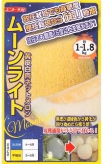 μڥࡼ饤ȡĶǤݥˡۡF1 ̵