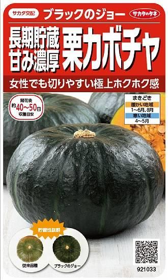 カボチャの種【ブラックのジョー】〔F1〕 - 種の専門店 松尾農園