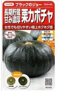 長期貯蔵 - 種の専門店 松尾農園 オンラインショップ