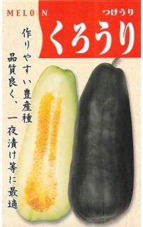 ĥμڤ̸ۡ ̵ 
