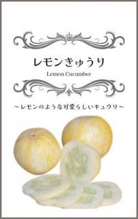 󤭤夦μ̸ ̵