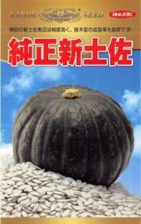 ڤμʥѡˡڽںۡF1