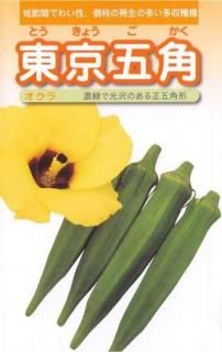 μ޳ѡ̸ۡ