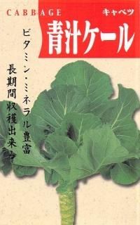巨大ケールの種(固定種 Thousand Head Kale) Amazon.co.jp: サウザンドヘッドケールの種(巨大ケールの種) : DIY