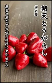 ȥ饷μīŷȤ餷ʻȤ餷ˡ̸ۡ ̵ 