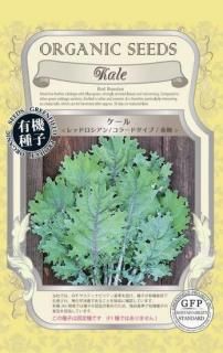 巨大ケールの種(固定種 Thousand Head Kale) Amazon.co.jp: サウザンドヘッドケールの種(巨大ケールの種) : DIY