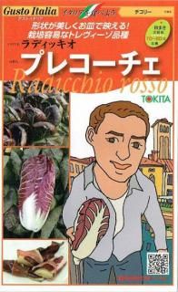 ꡼μڥץ쥳ۡF1 ̵