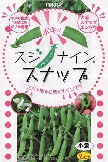 ʥåץɥμڥʥ󥹥ʥåס̸ۡ 