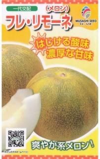 メロン・マクワウリ〔国内採種〕 - 種の専門店 松尾農園