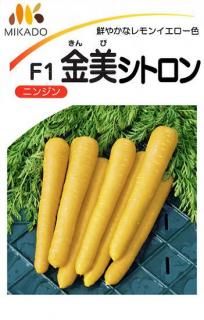 ˥󥸥μڶȥۡF1