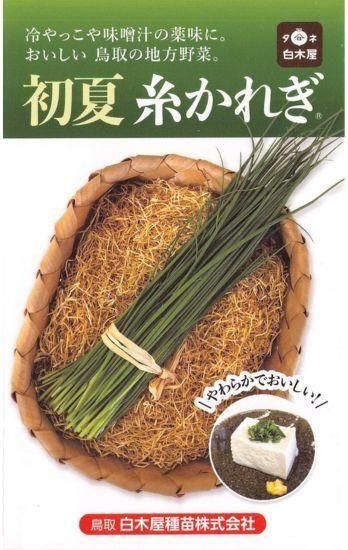 ネギの種【初夏 糸かれぎ】〔固定種〕 - 種の専門店 松尾農園