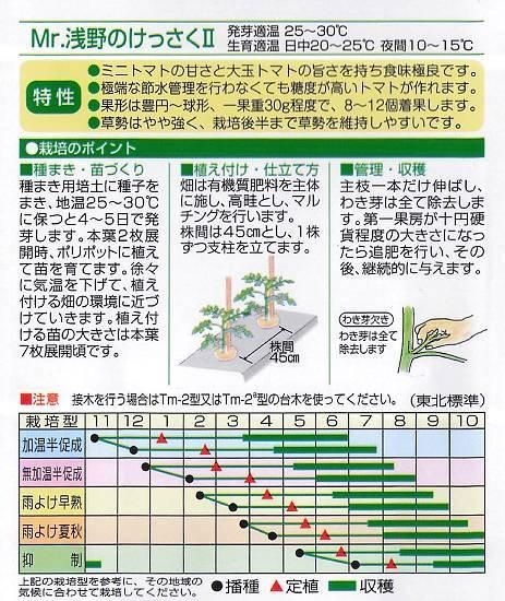 中玉トマトの種【Mr.浅野のけっさくⅡ】〔F1〕 - 種の専門店 松尾農園