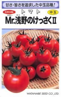̥ȥޥȤμMr.ΤäۡF1 ̵ 