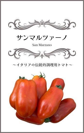 トマト サンマルツァーノの有機種子の通販 ｜ グリーンマーケット