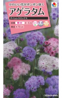 饿μڥ쥹ߥå̸ۡ ̵