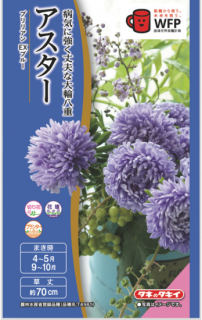 μڥ֥ꥢEX ֥롼̸ۡ ̵